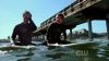 Veronica_Mars_3x04_Charlie_Don_t_Surf_0131.jpg